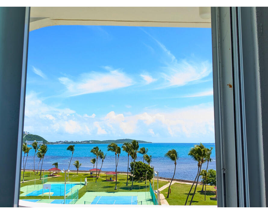 view